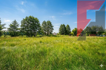 Działka Sprzedaż Glinno Szałwiowa